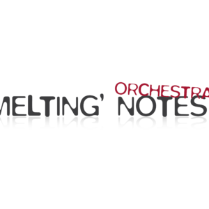 logo MNO 2014-01