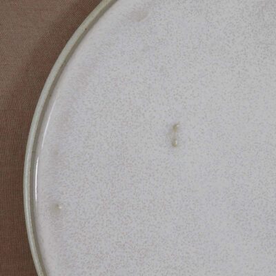 Natura - Plat à gâteau "Pétale" – Image 3